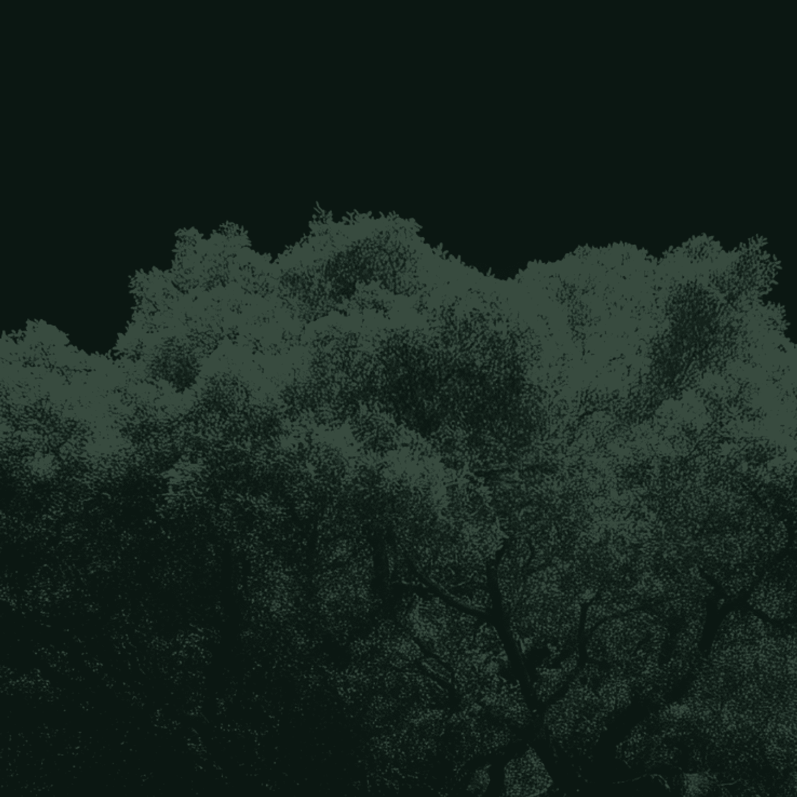 Capable, Open, and Safe: Combating AI Misuse